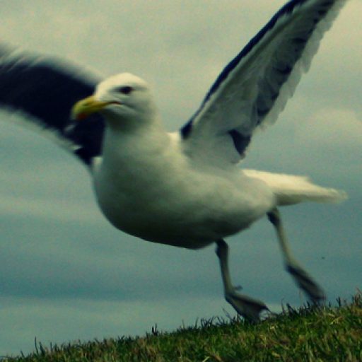 揚抗比=滑空比の証明